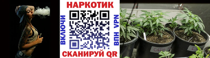 Купить наркоту Новочеркасск Гашиш Конопля Меф