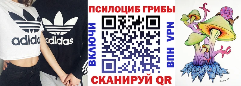 Псилоцибиновые грибы мухоморы  сколько стоит  Новочеркасск 